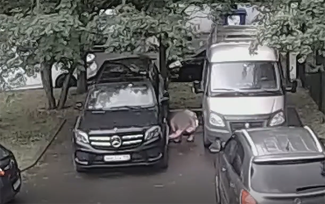 Rusiyalı qız öz ölkəsindən çıxa bilmək üçün terror aktına cəhd etdi - VİDEO